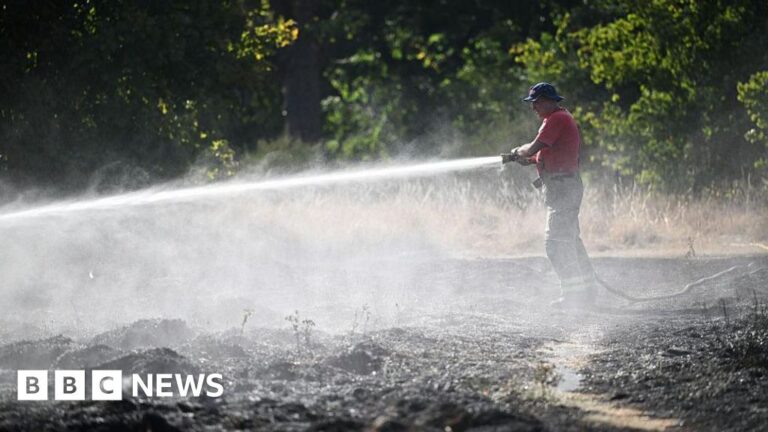 Read more about the article Hot, dry summers bring new ‘firewave’ risk to UK cities