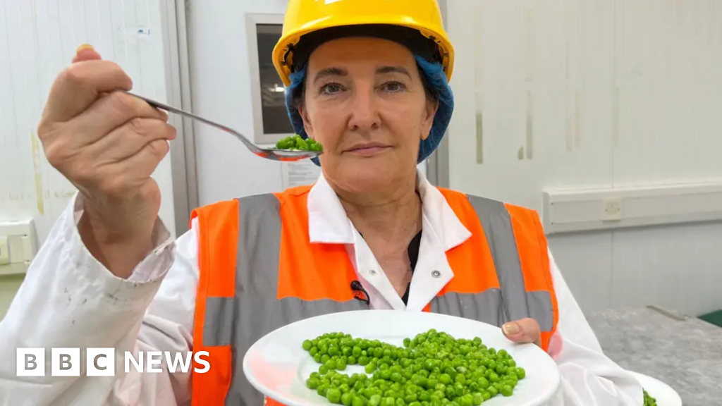 You are currently viewing Hull taster tests 32 plates of peas a day and eats more for tea