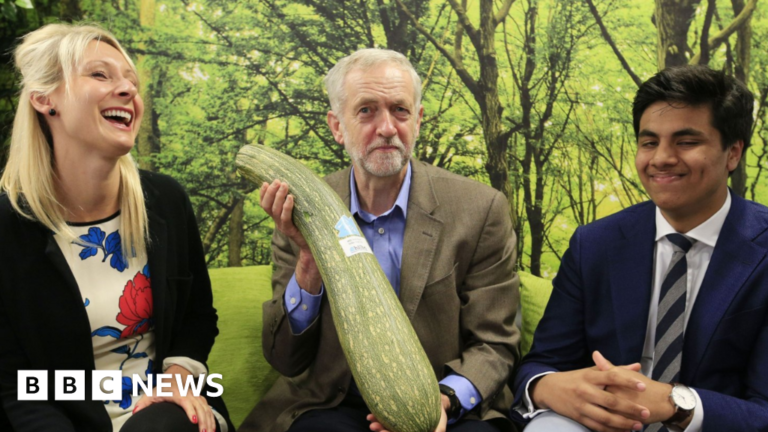 Read more about the article Jeremy Corbyn attacks Angela Rayner for selling off allotments