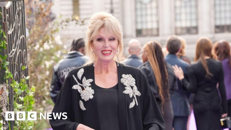 Read more about the article Joanna Lumley and Tulisa confirmed