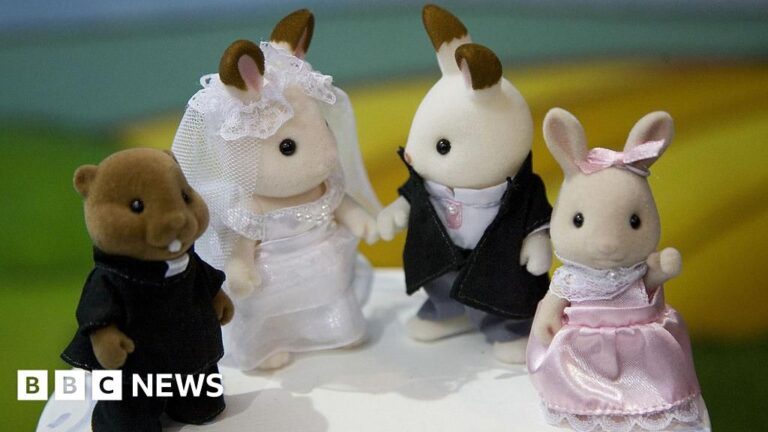 Read more about the article Lawsuit against creator dropped by toy company