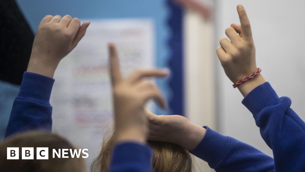 Read more about the article Lib Dems call for cap on SEND school profits