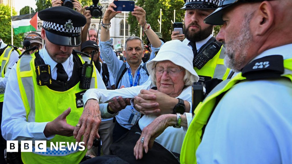 You are currently viewing Lib Dems call for review of law after Palestine Action arrests