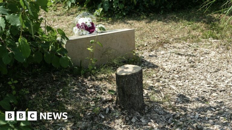 Read more about the article Macron vows justice after tree memorial for murdered Jew cut down
