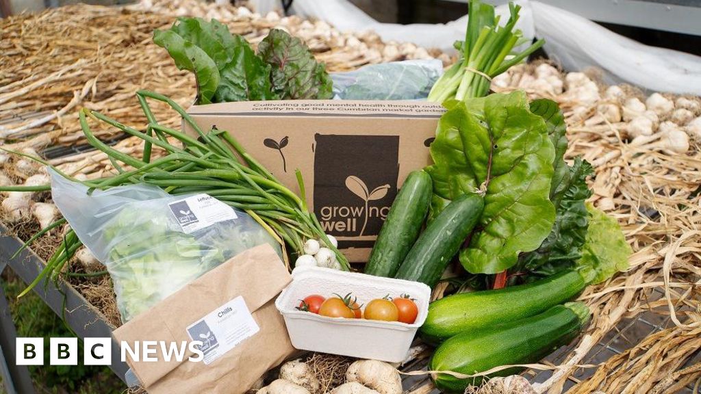 Read more about the article Mid Copeland low income families offered vegetable boxes