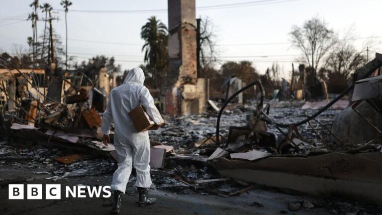 Read more about the article More than 400 indirect deaths linked to LA wildfires, study says