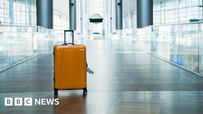 Read more about the article New Zealand woman arrested after two-year-old found in luggage