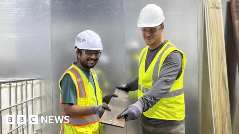 Read more about the article New types of engineered wood are ready for building sites