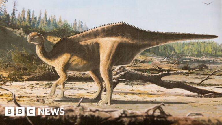 Read more about the article New ‘sail-backed’ dinosaur named after Dame Ellen MacArthur