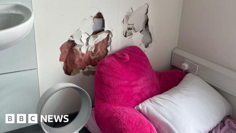 Read more about the article Nurses punched in face at Swindon hospital violent children’s unit
