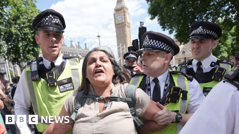 Read more about the article Palestine Action protesters arrested by police at London demo