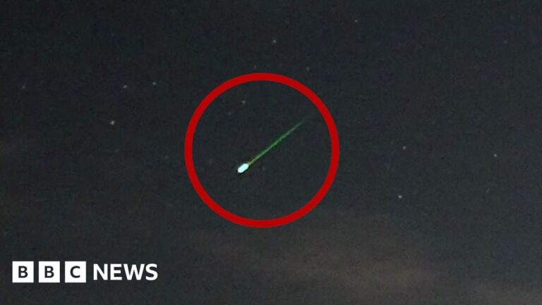 Read more about the article Perseids meteor shower lights up night skies