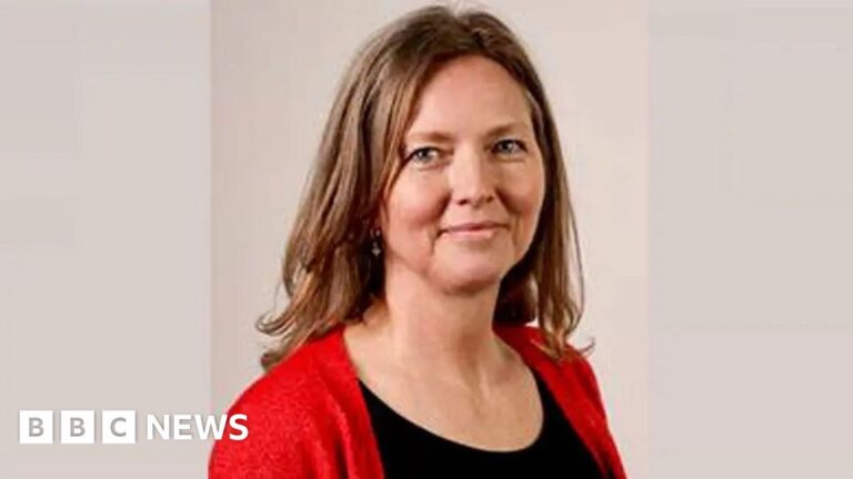 Read more about the article Reform councillor Amanda Clare denies Pride event assault