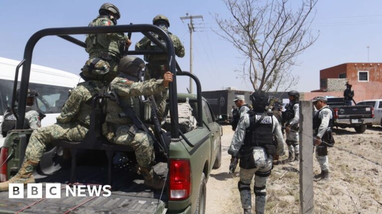 Read more about the article Six severed heads found on road