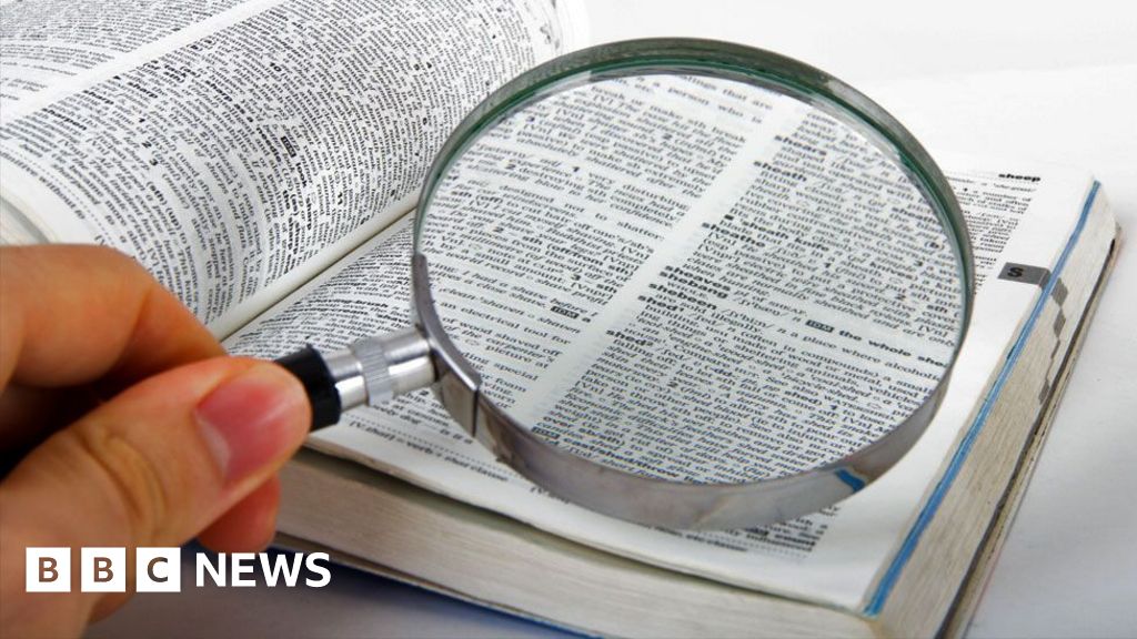 Read more about the article Skibidi and tradwife among words added to Cambridge Dictionary