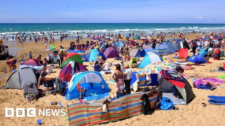 Read more about the article South West experts suggest shake-up