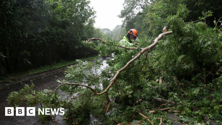 Read more about the article Storm Floris clear up after power cuts and travel disruption