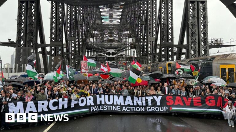 Read more about the article Tens of thousands turn out for Sydney Pro-Palestine march