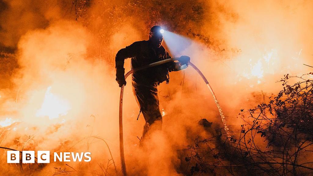 Read more about the article Two more dead as Spanish troops battle blazes