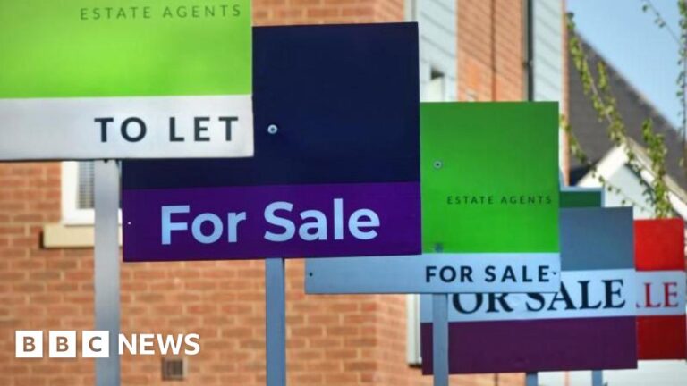Read more about the article Universal theme park sparks ‘fear of losing homes’ in Bedford