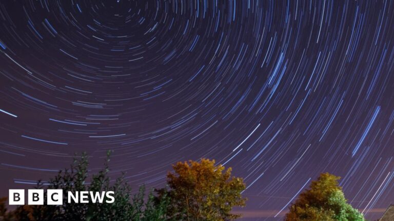 Read more about the article When, where and how to catch a glimpse
