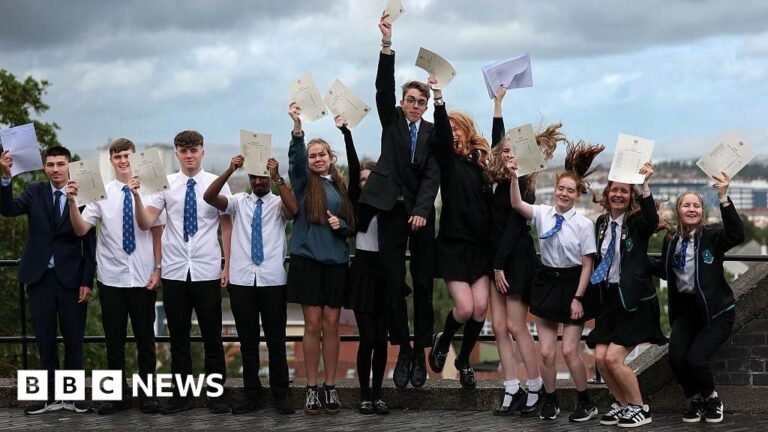 Read more about the article Why did boys outperform girls for top grades?