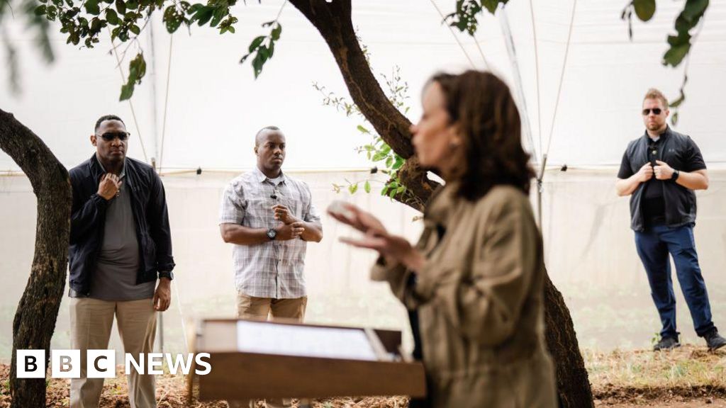 Read more about the article Why has Kamala Harris’ Secret Service detail been withdrawn?