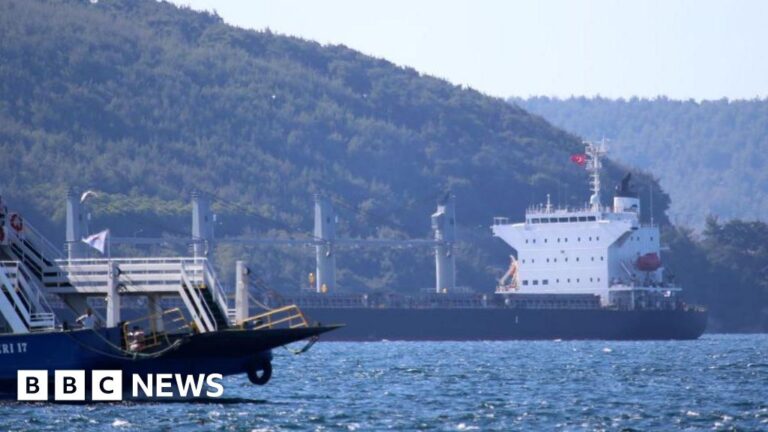 Read more about the article Wildfires force Turkey to shut Dardanelles Strait to shipping