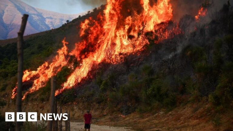 Read more about the article Wildfires rage across southern Europe as temperatures pass 40C