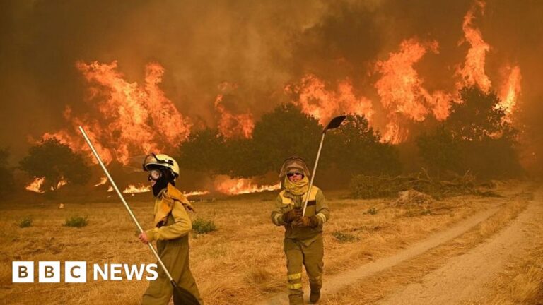 Read more about the article Wildfires rage in Spain and Portugal as heatwave continues